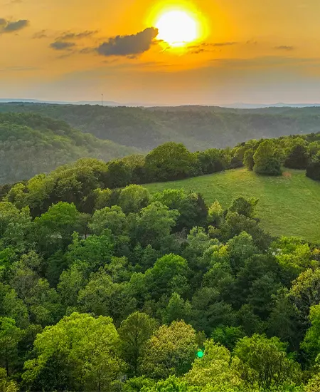 Arkansas landscape