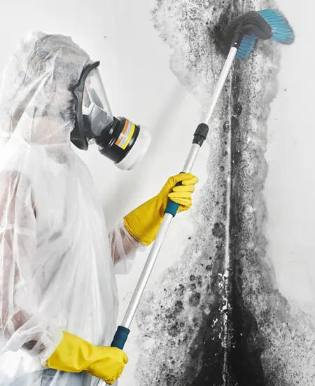 Person in hazmat gear cleaning mold off a wall